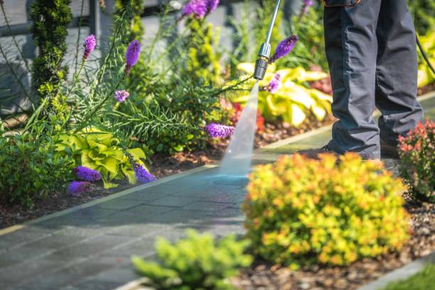 Best Parking Lot Cleaning in Pierce, CO