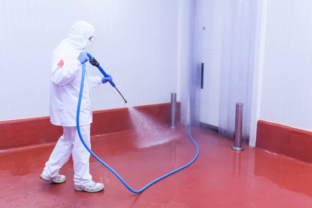 Best Commercial Pressure Washing in Pierce, CO