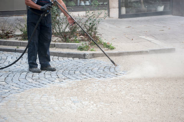 Best Driveway Cleaning and Restoration in Pierce, CO